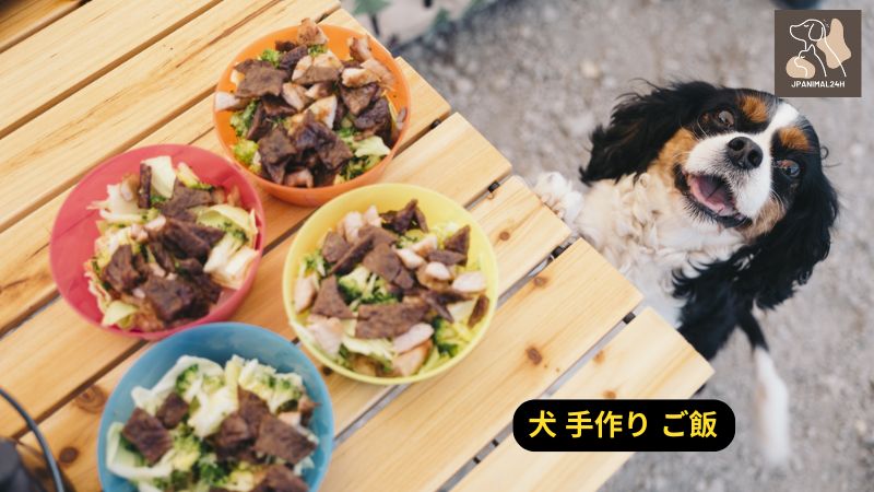 犬 手作り ご飯